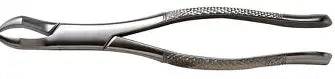 Dental Forcep #88R