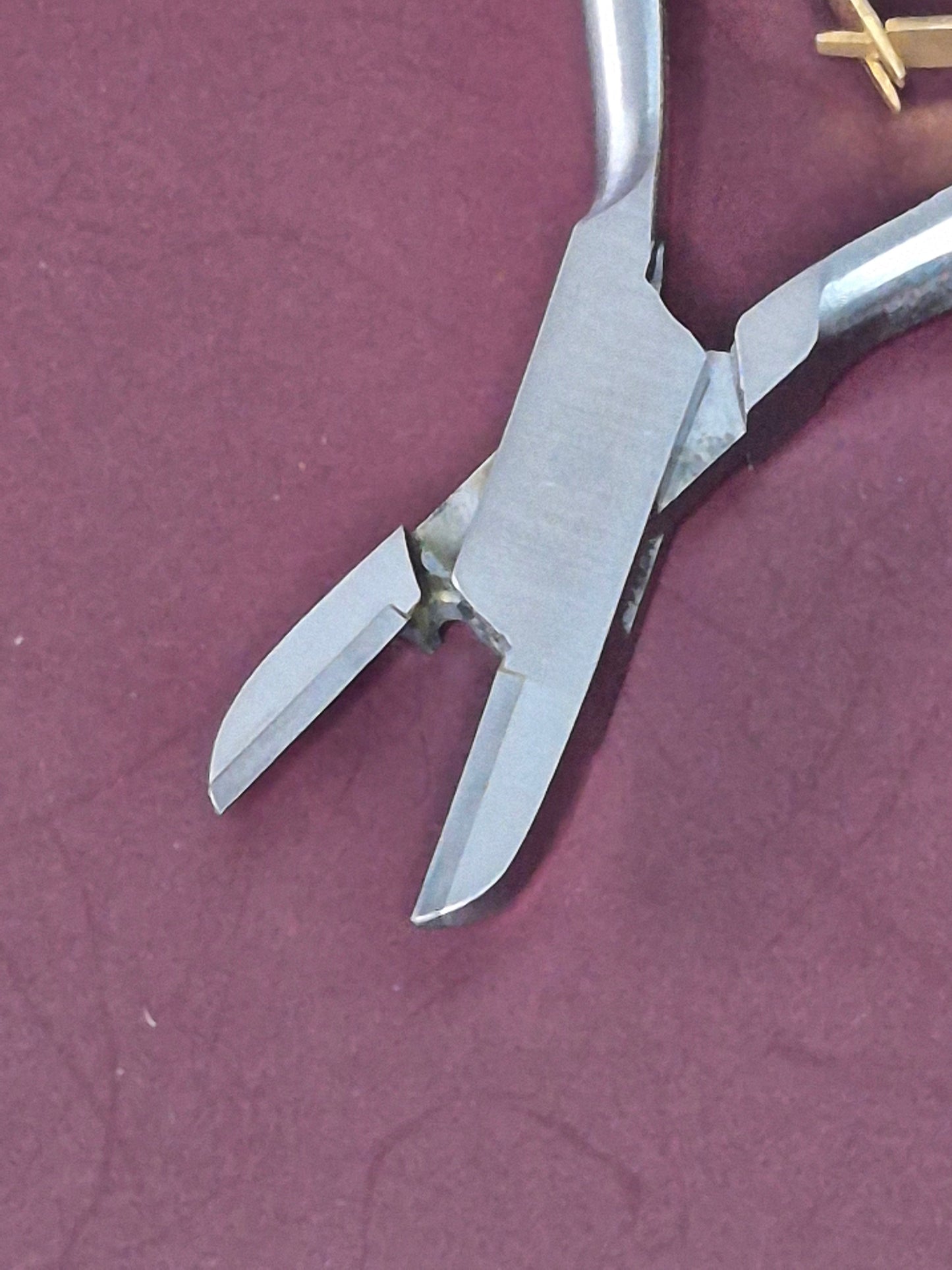 Orthodontic T/C Ligature Cutter