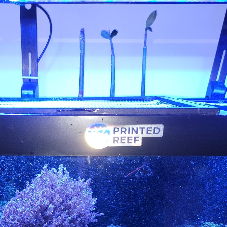 FragLoc™ - Mangrove Seedling & Aquatic Plant Holder