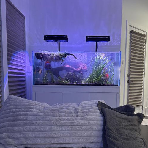 Kessil AP9X Light Shade Set