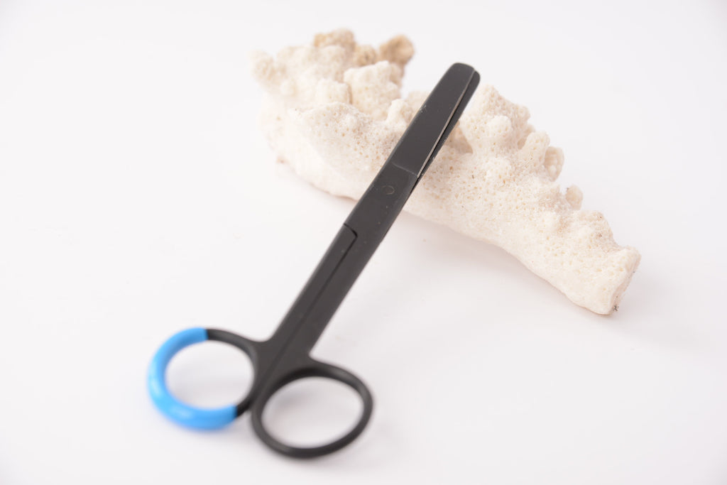 Aquarium Scissors Medium Point Scissors 6''