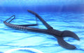 Heavy Duty Coral Cutter 8" (Cow Horn Jaws)