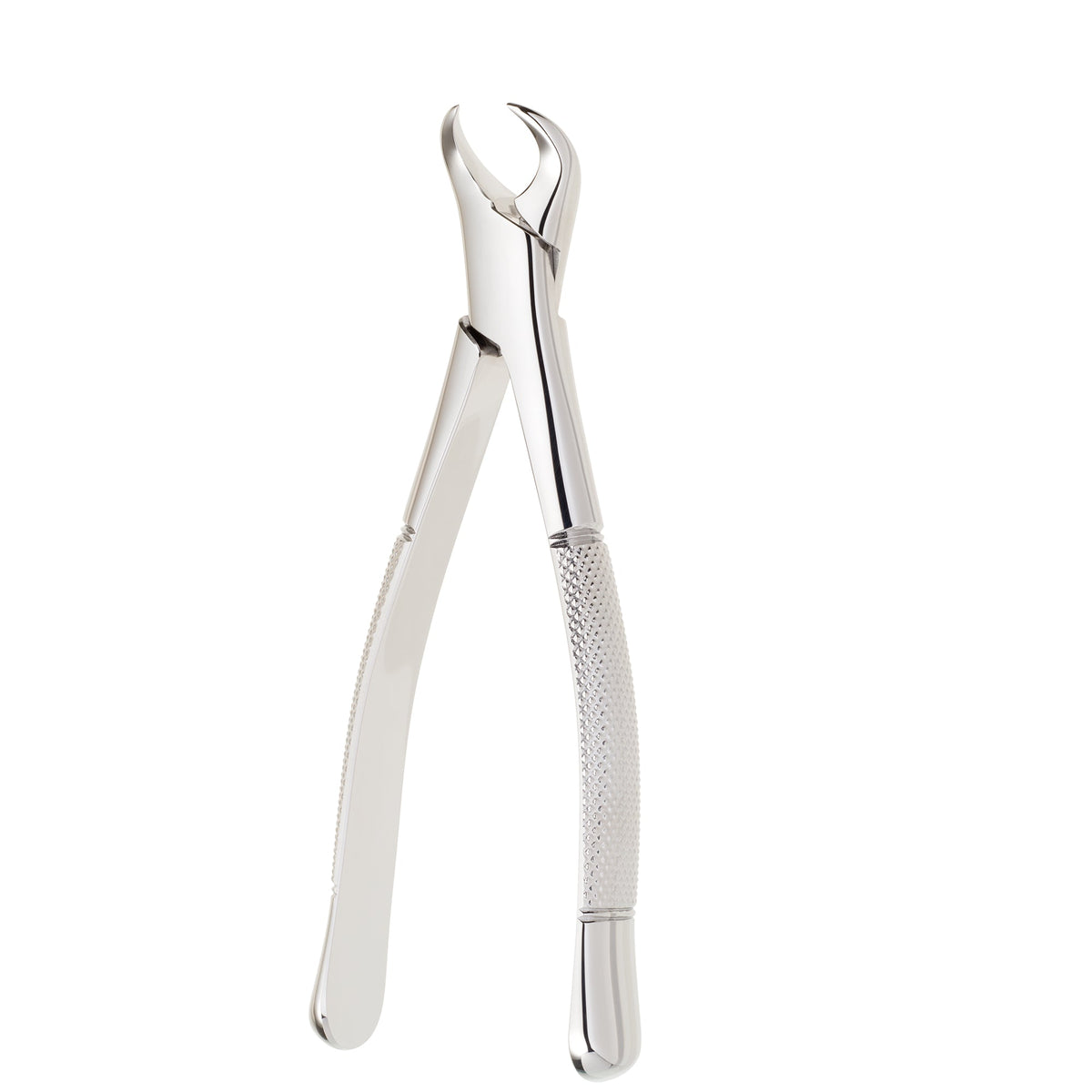 Dental Forcep #16