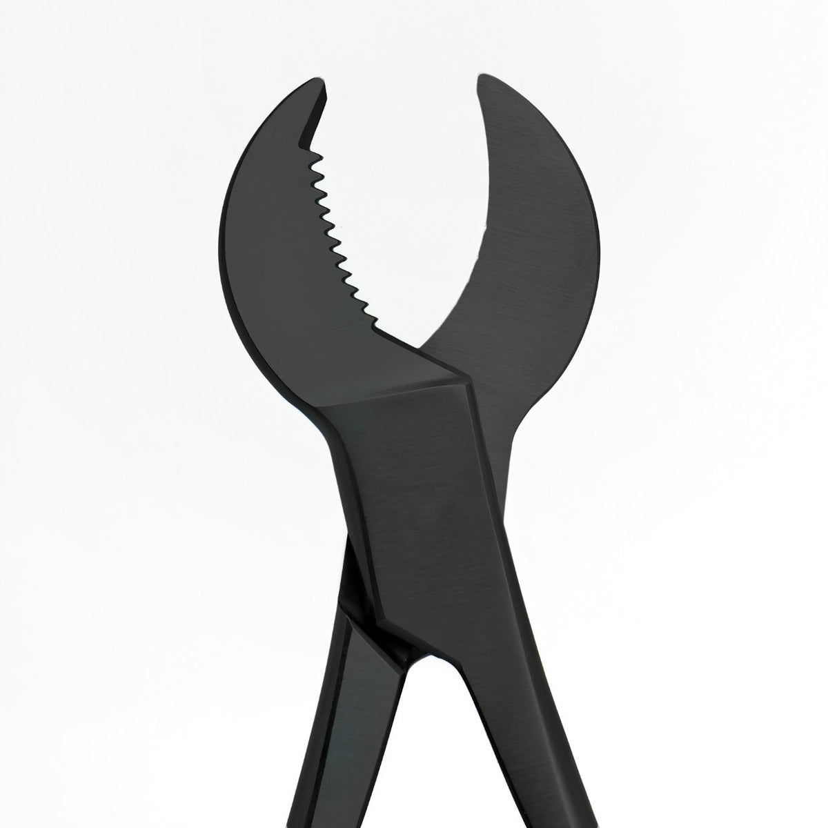 Heavy Duty Coral Cutter 8" (Cow Horn Jaws)