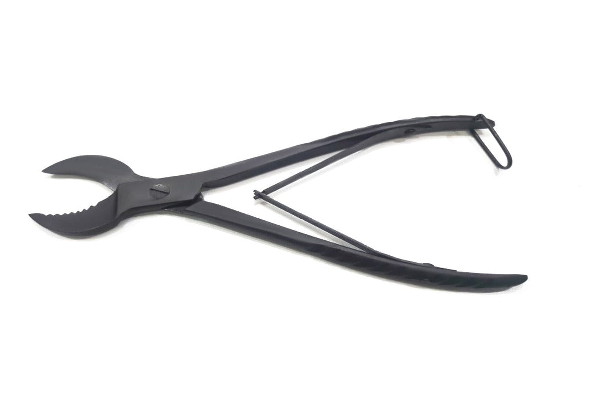 Heavy Duty Coral Cutter 8" (Cow Horn Jaws)