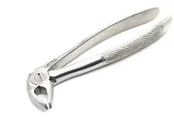 A   Dental Forcep English #22