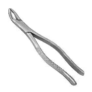 Dental Forcep #203