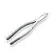 Dental Forcep #201