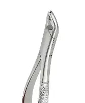 Dental Forcep #151S