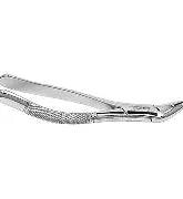 Dental Forcep #151A