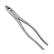 Dental Forcep #99C