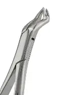 Dental Forcep #88L