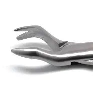 Dental Forcep #88L