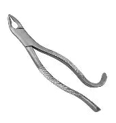 Dental Forcep #85A