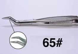 Dental Forcep #65