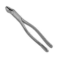 Dental Forcep #53L