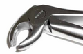 A   Dental Forcep English #22