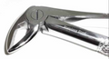 B   Dental Forcep English 22A