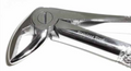 Dental Forcep #33