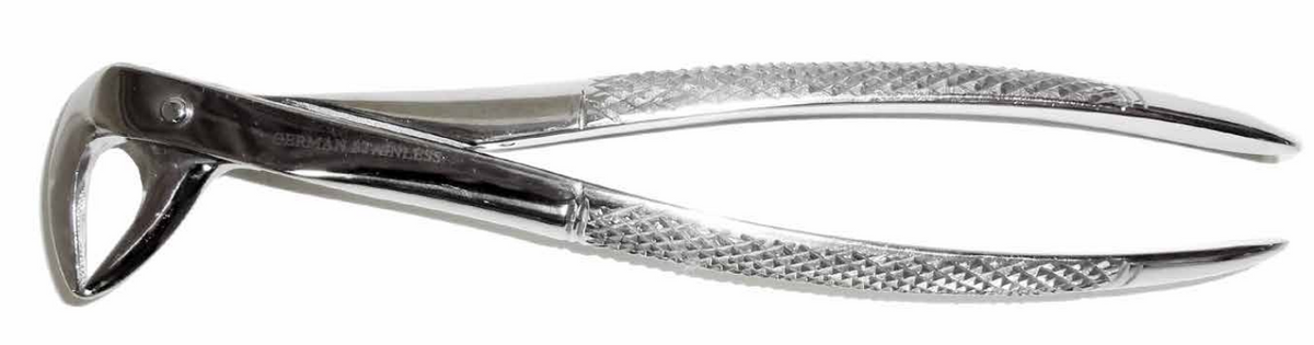 Dental Forcep #74N