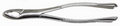 Dental Forcep #151AS