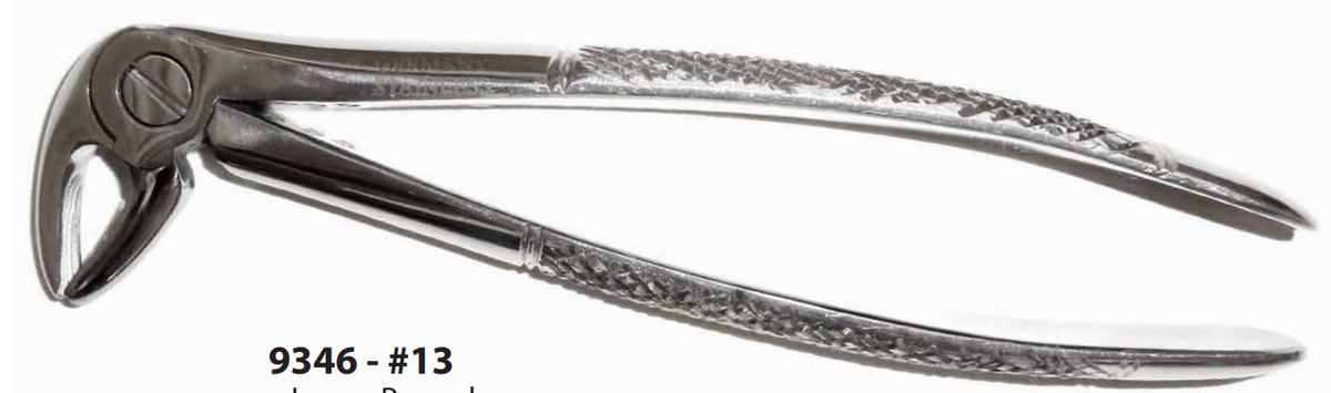 Dental Forcep #13