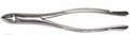 Dental Forcep #1