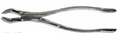 Dental Forcep #53R