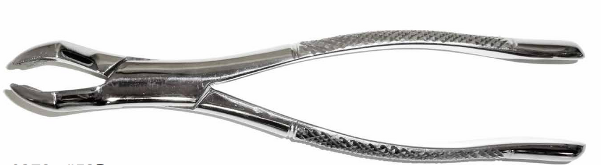 Dental Forcep #53R