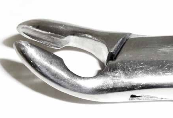 Dental Forcep #85