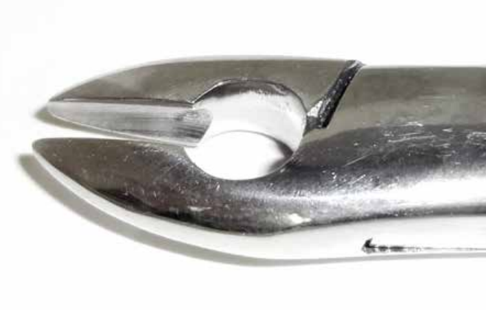 Dental Forcep #99A