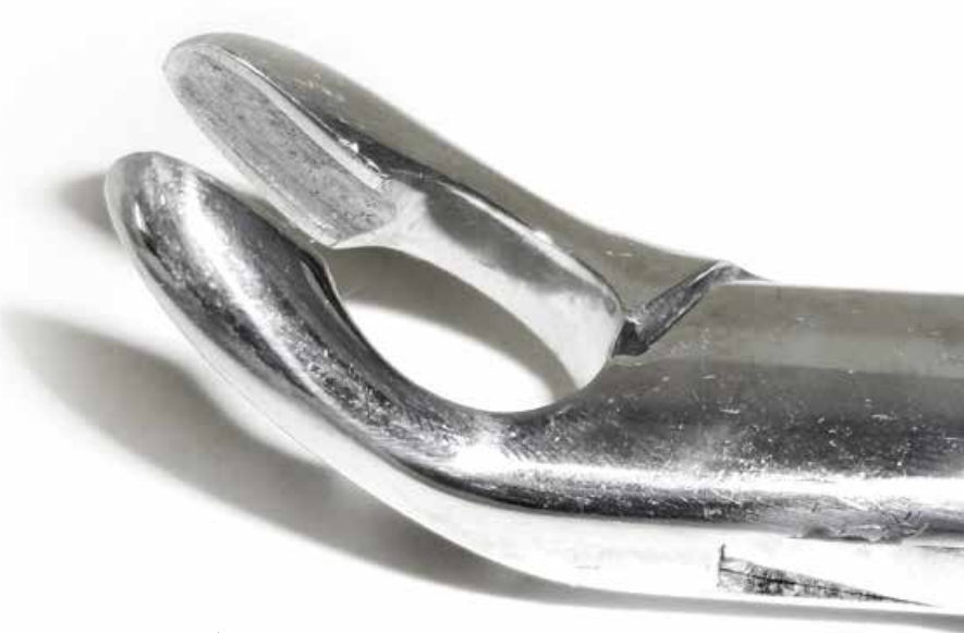Dental Forcep #151A