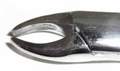 Dental Forcep #201