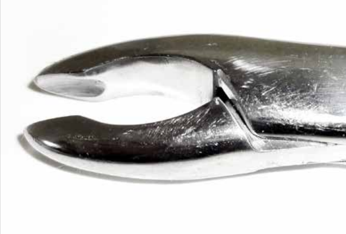 Dental Forcep #213