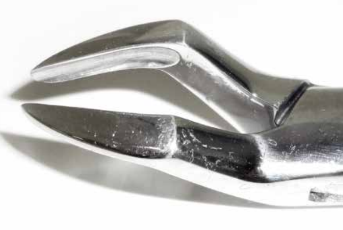 Dental Forcep #286