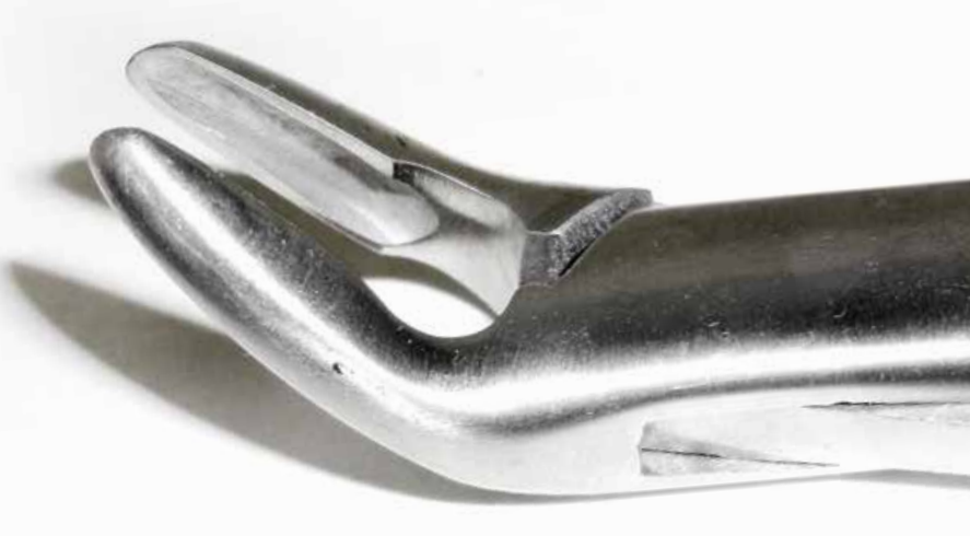 Dental Forcep #288