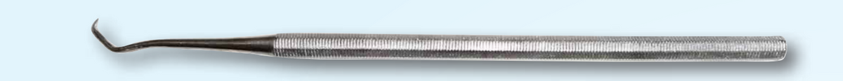 Jacquette Scaler SE #1