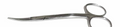 LaGrange Tissue Scissor 4.5"