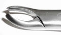 Dental Forcep #18L