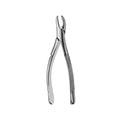 Dental Forcep #150