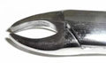Dental Forcep #201