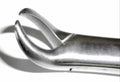 Dental Pediatric Forcep 16s