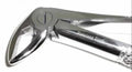 B   Dental Forcep English 22A