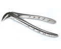 Crown Splitter 6" Deluxe