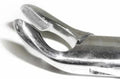 Dental Forcep #151