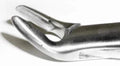 Dental Forcep #288