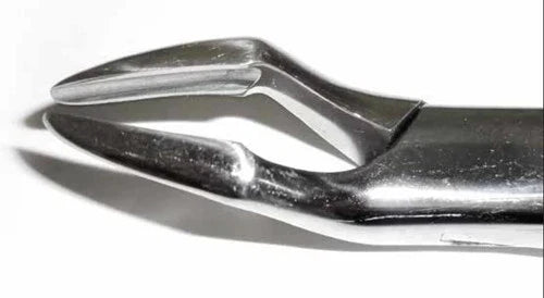 Dental Forcep #32A