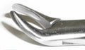 Dental Forcep #103