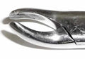 Dental Forcep #24