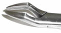 Dental Forcep #32